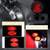 Motorcycle Tail Lights with Side License Plate Bracket Brake Lights Integrated Stop Light Waterproof Aluminum Universal 12V for Sportster 883 1200 Cruiser Bobber Chopper