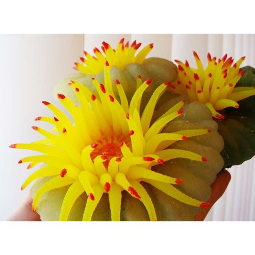 Aquarium Fish Tank Silicone Sea Anemone Artificial Coral Ornament SH014A 13