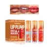 Biewals 3 Colors Duck Lip Plumper Gloss, Glitter Shine Primer Lip Tint Korean Clear Plumping Lip Gloss, High Pigment No Sticky Lip Gloss, Lip Plumper Gloss Make Lips Fuller(Set A)