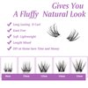 SQYlashes Natural Lash Clusters Wispy D Curl, Individual Lashes Clusters Eyelash Extensions, 100PCS DIY Lash Extensions at home (D16, 8-16mm)