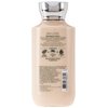 Bath & Body Works, Signature Collection Body Lotion, Vanilla Bean Noel, 8 Ounce