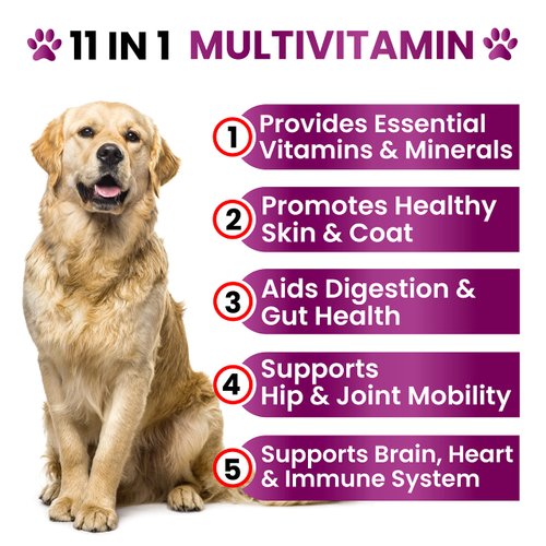 Dog Multivitamin Chewable with Glucosamine - Dog Vitamins and Supplements, Senior & Puppy Multivitamin for Dogs - Pet Chondroitin Hip and Joint Support Health, Immune Booster, Skin, Heart, Probiotics
