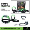 DartBand Premium Resistance Bands with Handles,Door Anchor,and Carabiner Clip for Athletic Training,Rehab,Strength Training,Yoga,Physical Therapy,Home Workout Solution-Medium Resistance,Aqua
