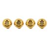 Wanyifa 4Pcs Titanium M5 x 12mm Holder Torx Head Bolt Screw for Bicycle Water Bottle Cage (Gold)