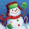 Creative Converting 16-Count Lunch Paper Napkins, Winter Fun