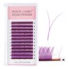 Light purple YY Eyelash Extension Lashes D Curl 0.07mm, 8-15mm Faux Mink Cluster Lash Extensions Soft Y Lashes Extensions Premade (8-15MM, 0.07-D,Light purple)