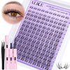 ALICE Cluster Eyelash Extension Kit Natural Wispy Lash Clusters Kit Lash Extension Kit Clear Band 168pcs C Curl 11-13mm Individual Lashes with Lash Glue Bond and Seal Self Application at Home