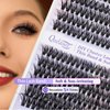 3D Effect Qeelasee 40d Lash Clusters Eyelash Extensions Wispy DIY Individual Eye Lashes Natural Volume 240pcs Mix9-16mm (3D effect, 40D-MIX9-16)
