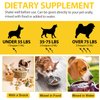 Yeast Infection Treatment for Dogs, Natural Yeast Infection Treatment Drops for Dog Itch Relief, Dog Allergy Relief, Dog Yeast Ear Infection Treatment, 2.02fl.oz