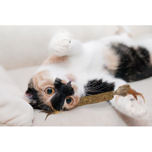 SPOT Ethical Pets Catnip Stick Cat Toy with Feathers, 12" (52061)