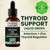 Thyroid Support Drops, Thyroid Support – Mineral & Herbal Supplement with Selenium, Zinc, L-Tyrosine & Ashwagandha – Daily Energy, Metabolism & Hormonal Balance (2)