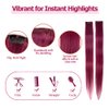 Winsky Burgundy Clip in Colored Hair Extensions 100% Real Human Hair - Straight Highlights Colored Clip on Christmas Hairpieces 5 Pieces/Set (18inch, Burgundy)