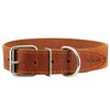 Genuine Leather Dog Collar Stars Pattern Brown 4 Sizes (Neck Circumf: 18"-21"; 1.5" Wide)