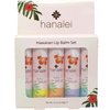Hanalei Lip Balm and Moisturizer - Natural Kukui Oil, Beeswax Lip Moisturizer - Replenish and Repair Dry, Chapped Lips - Variety Pack (5 Tubes)