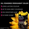 Garnier Olia Permanent Hair Color - Blonde 8.0