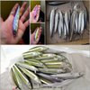 wLure 10 Blank Unpainted Minnow Crankbait Topwater Lipless Jerkbait Fishing Lures (UPM589P10)