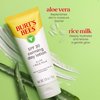 BURTS BEES SPF 30 Calming Day Face Lotion With Aloe and Rice Milk for Sensitive Skin, Sunscreen Face Lotion Soothes Redness and Irritation, 99.4 Percent Natural Origin Skin Care, 1.8 oz. Tube
