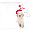 Canopy Street Labrador Love Holiday Card Pack / 25 Cards And Envelopes Pack/Festive Santa Hat Puppy Design With Greeting Inside/Dog Christmas And New Year Cards