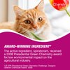 Cheristin for Cats Topical Flea Prevention – Starts Killing Fleas in 30 Minutes, 1 Dose