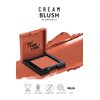 Pastel Cream Blush 47 | Fresh | Healthy & Natural Look | Ligh Weighted Formula | Sebum Control Richly Pigmented | Easily Blendable | Long Lasting | Semi Matte | 0.18 oz.