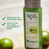 NaturVital Unisex Natural, Plant-based Lime & Witch Hazel Degrease Hair Shampoo for Greasy, Oily Hair Types, Keeps Hair Cleaner Longer, Cruelty-Free & Paraben-Free