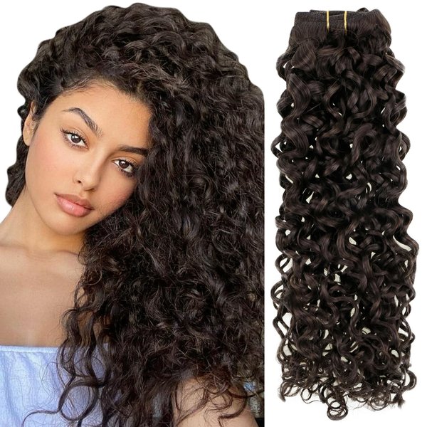 Hetto Curly Clip in Extensions Real Human Hair #2 Darkest Brown Natural Wavy Clip in Hair Extensions Human Hair Curly Clip on Human Hair Pieces 16 Inch 7Pcs 120g