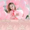 Juhap 41Pcs Rose Gold Birthday Party Decorations Pink Rose Gold Theme Birthday Party Supplies Birthday Tableware Includes 20 Plates 20 Napkins and 1 Tablecloth for Girls Women