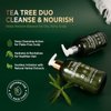 Roycederm Tea Tree Antifungal Shampoo and Conditioner: Complete Scalp Care Solution for Folliculitis, Dry, Itchy, and Flaky Scalp - Infused with Tea Tree Oil, Paraben & Sulfate Free