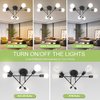 CANMEIJIA Modern Sputnik Chandelier Ceiling Light Fixture with 6 Lights Black Mid Century Ceiling Mount Lights Fixture for Bedroom, Dining Room, Living Room, Kitchen, E26 Base, Bulbs Not Included