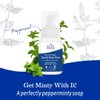 Earth Mama Wild Peppermint Hand & Body Wash | Foaming Castile Soap Liquid and Hand Soap, Made with Organic Wild Mint & Peppermint Oil, 5.3 fl oz