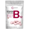 Micro Ingredients Vitamin B12 5000mcg | Methyl B12 Active Form – 240 Chewable Tablets | Fast Dissolve, Natural Strawberry Flavor, Support Energy, Metabolism Health | Vegan, Non-GMO, & No Glute