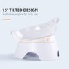MILIFUN Anti Spill Tilted Cat Food Bowls, Whisker Fatigue Elevated Bowls Set for Cat and Puppy, Cat Bowl Holds About 1 Cup of Pet Food