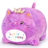 MIAOHAHA Happy Birthday Plush Pillow Toy,Soft Plush Cat Toy Plushies Gift for Kids and Girls(Purple Cat,25cm/9.8in)