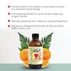 CHILDLIFE ESSENTIALS Liquid Vitamin C - Immune Support, Vitamin C Liquid, All-Natural, Gluten-Free, Allergen Free, Non-GMO, High in Antioxidants - Orange Flavor, 4 Fl Oz Bottle (Pack of 2)