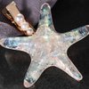 Bartosi Starfish Hair Clips Mermaid Hair Accessories Sea Star Hair Barrettes Beach Wedding Hair Accessories for Women (Pack of 2)