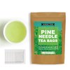 Pine Needle Tea Bags, 40 Teabags, Pine Needles Herbal Tea