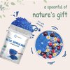 Organic Blue Spirulina Powder (Phycocyanin Extract), 50 Servings - No Fishy Smell, 100% Vegan Protein from Blue-Green Algae, Natural Luminous Food Coloring for Smoothies, Baking, Drinks & Cooking