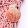 Nature Fish Net Wall Decoration with Shells, Ocean Themed Wall Hangings Fishing Net Party Decor for Pirate Party,Wedding,Photographing Decoration (Pink)
