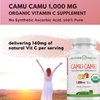 Organic Vitamin C from Camu Camu Capsules 1,000mg, Packed with Natural VIT C, Raw Antioxidants - Immune Support Supplement & Anti-Aging for Skin - Camu Camu Powder Organic, Vegan, Non-GMO (120 Count)