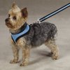 Casual Canine Pastel Mesh Dog Harness, Small, Blue