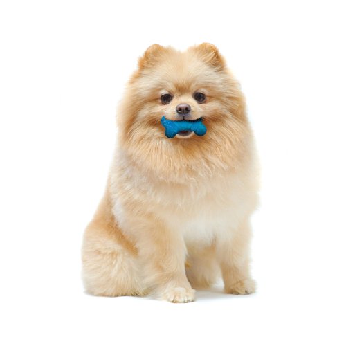 Nylabone Moderate Chew FlexiChew Bone Peanut Butter & Bacon XX-Small/Tiny (2 Count)