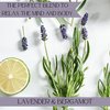 Baylis & Harding Body and Bath Set | Lavender & Bergamot | Luxury Bath Soak & Body Wash with Relaxing Mood Boosters to Enhance Sleep | Natural Essential Oils, Dermatologist Approved, Vegan | 2 Pack