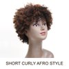 Style Icon Afro 5" Short Curly Wigs with 100% Brazilian Hair (3-Color Mixed: DARK BLONDE & MEDIUM AUBURN & DARK BROWN) - Afro Wigs for Black Women - Human Hair Wigs - Beauty Personal Care Afro Wig