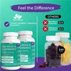 (2 Pack) Sea Moss Gummies Elderberry BioVitalica - Vitamin C D + Zinc - Irish Seamoss Vegan Gummy with Sea Moss Gel & Powder for Immunity Detox & Energy - for Adults and Kids