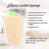 3 Pack Farm natural organic loofah sponge Skin cleansing skin exfoliation Bathing and Back caring spa body shower Puff Scrubber Lofa Loofa Luffa Loffa Daily skin care
