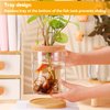 Betta Fish Tank - Mini Bowls for Beta Fish, Aquaponic Fish Tank Clear Hydroponic Plant Terrarium for Promoted Ecosphere Aquatic Ecosystem - 6.7" H * 4.7" D