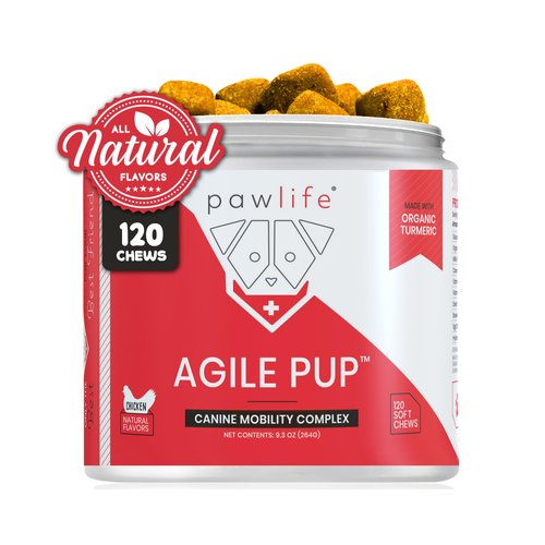 pawlife Arthritis Dog Joint Chews| Glucosamine, Chondroitin, Omega-3| MSM Support for Healthy Joints| 120 Veterinarian Formulated Soft Chews| Up to 4-Month Supply