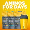 Purbolics Aminos | 4g of Free-Form Amino Acids, Beta-Alanine, 0 Sugar & 60 Servings (Sour Rainbow Candy)