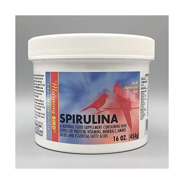 Morning Bird Spirulina, Supplement for Caged Birds, Organic Bird Food Supplement with Vitamins, Proteins, and Amino Acids for Parakeets, Cockatiels, Budgies, Finches, Canaries, and Parrots, 16 oz