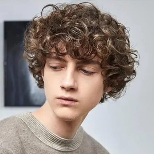 Amnenl Mens Afro Brown Short Wigs 70s 80s Rocker Curly Wig Kinky Synthetic Wigs for Cosplay Hallo...